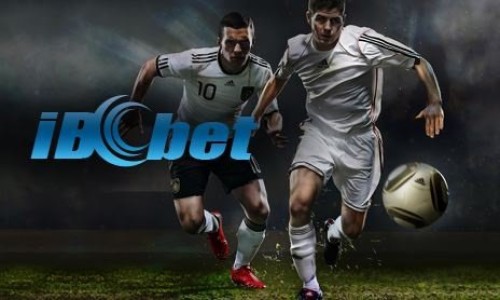 Tips Anti Gagal IBCBET Login Terbaru 2026 dan Solusinya